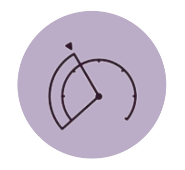 Geofenced Speed control icon